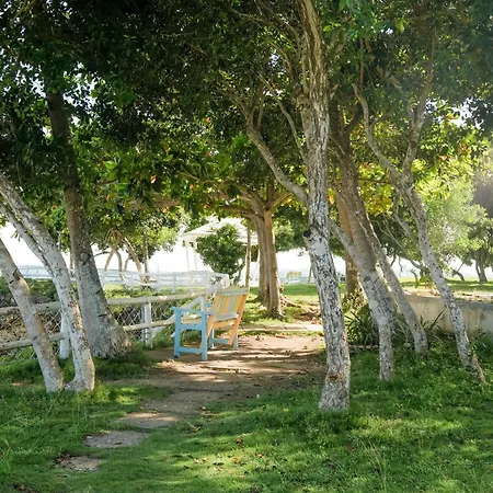 Maayo San Remigio