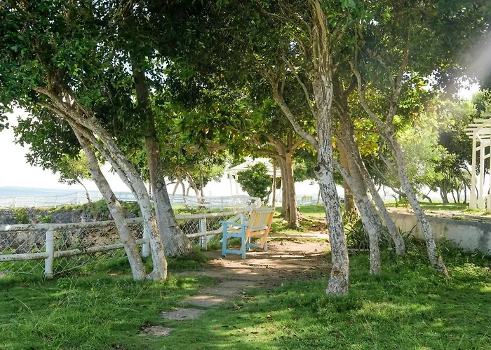 Maayo San Remigio (Cebu)